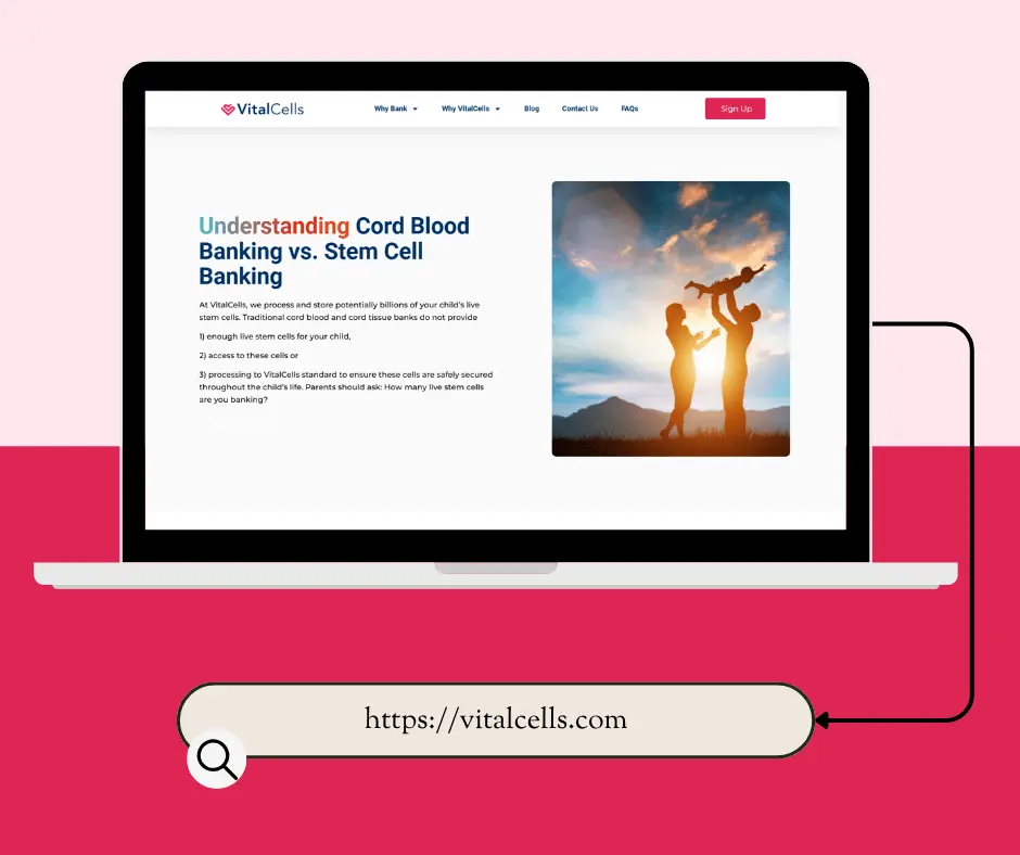 Vitalcells website shown on desktop and mobile, built with WordPress